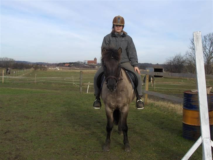 Anden særlig race apollon (solgt) - Ridder. Rytter: Stephanie 08 billede 12