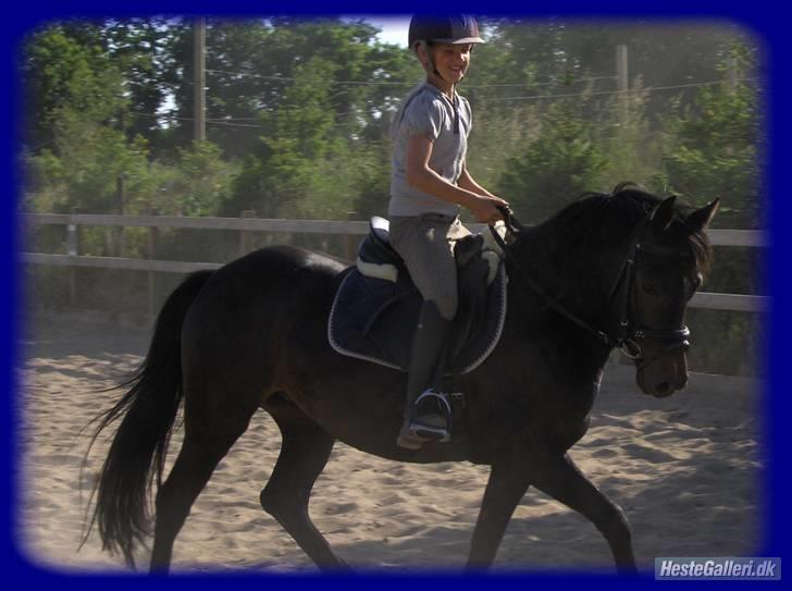 New Forest Egeballes Nitrat (SOLGT) - Undervisning ved Helene...foto: simone mørch billede 3