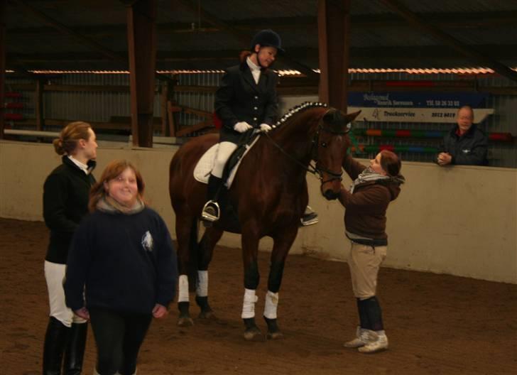 Dansk Varmblod LYKKEHØJS  LUIGI  "SOLGT - præmie overrækkelse stævne 2  billede 17