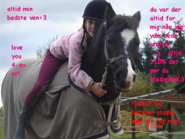 Anden særlig race Flicka GAMMELPART. - jeg savner dig. billede 12