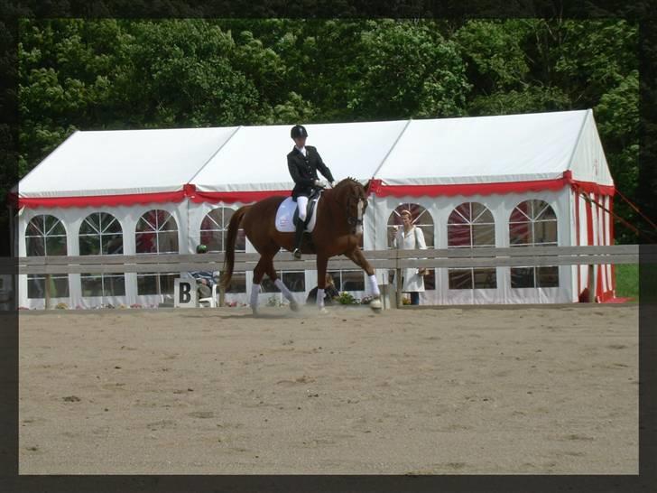 Dansk Varmblod | Fiona - (ikke min mere) - 2 - Stævne på Egely Ridecenter - LB1 :) Foto; Momo  billede 2