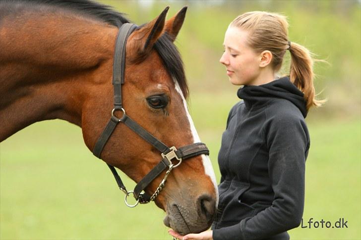 Fransk Halvblod Edimbourg D'aillon - sommer 2010 billede 4
