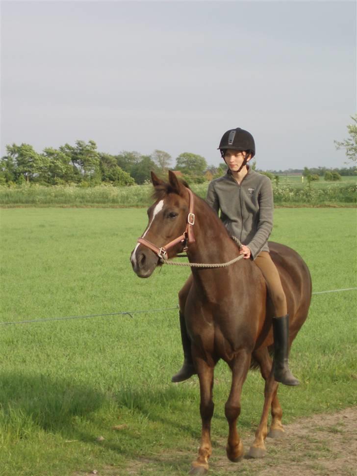 New Forest Valkenhoeve's Zoë - Mig og Zoë <3 JEG SAVNER DIG! Foto: Simone Lykke Hansen. billede 16