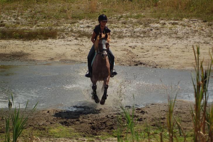 Anden særlig race Mario - Vi flyve gennem vandet :D billede 7