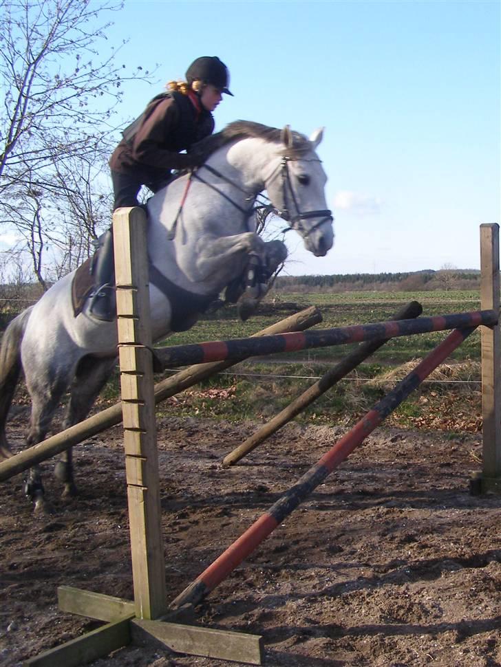 Anden særlig race Kiwi  - Den lille fede springer 110 cm *med min lillesøster* :D ! billede 14