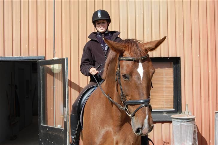 Anden særlig race Ryans May Lady billede 12