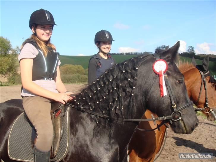 Merens de Cheval Nomeo Degamas - Til præmie overrækkelse fie på Nomeo hun fik en 1 plads, Nomeo og Fie=Godt Team billede 1