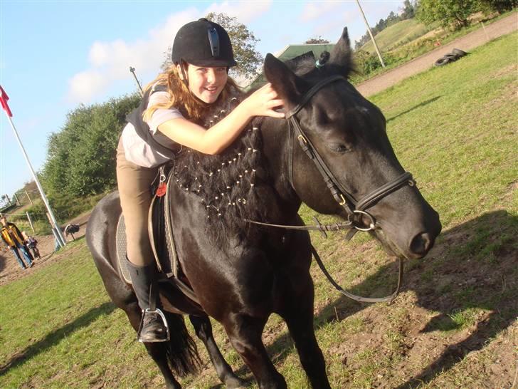 Merens de Cheval Nomeo Degamas - Fie har lige sprunget billede 3