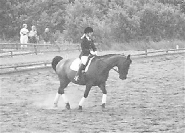 Dansk Varmblod Østergaardens Frölich - Beklager den dårlige kvalitet, men før jeg havde digital kamera. Frø og jeg til vores sidste stævne billede 1