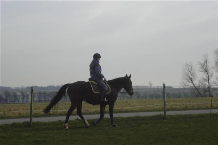 Traver By Densi Print  - Mig og min By Densi  billede 18