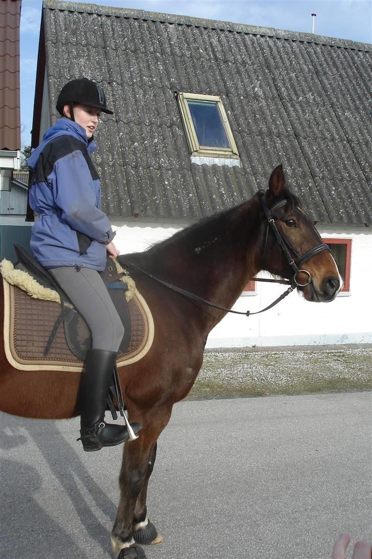 Traver By Densi Print  - Igen ;) billede 19