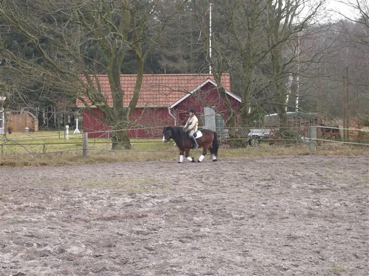 Anden særlig race mio *død* billede 13