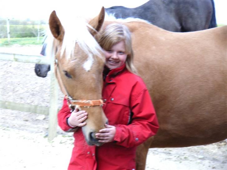Palomino Guldhyppen Disalica :-I  - Gaaammelt billede, men; Hvert smil har sin grund - min grund er dig.<3 billede 9