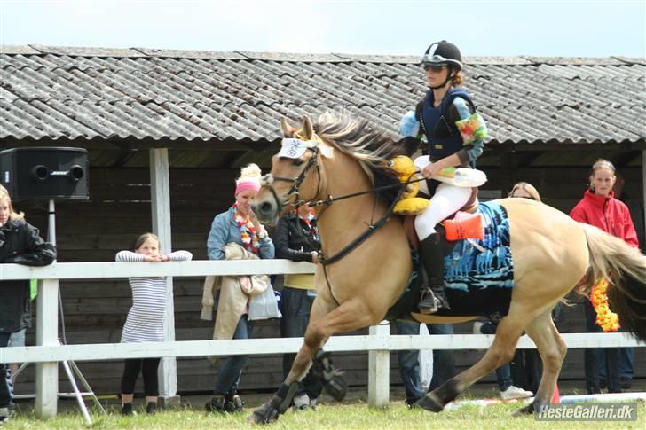 Anden særlig race Tommerups Buller SOLGT - fordi jeg elsker buller mere end nogen anden!<3  vi er et team, når vi er sammen! billede 6