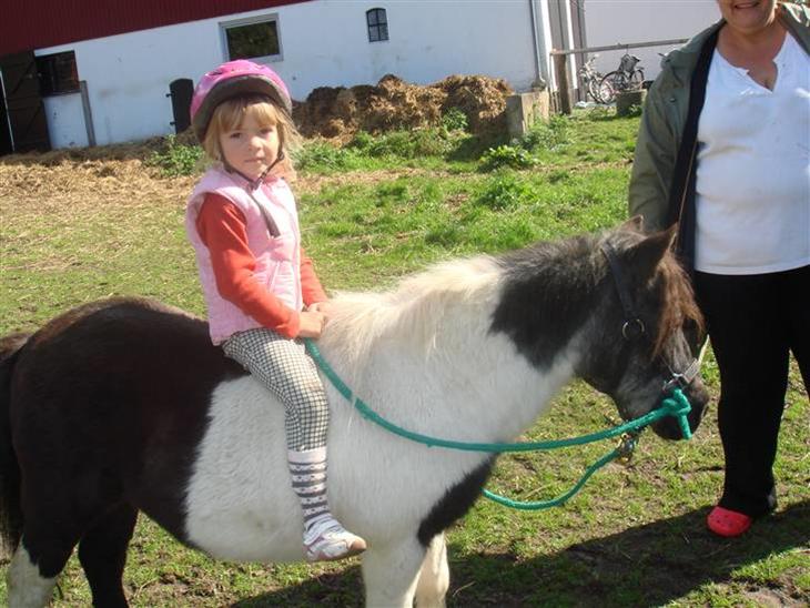 {{currentPhoto.altText}} billede {{currentPhoto.number}}