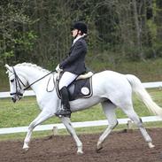 Connemara Maalings Mirabel B-PONY