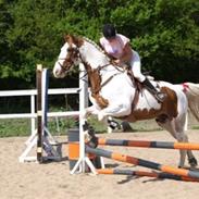 Pinto nikolaj af dutterup