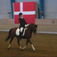 Anden særlig race Sartos  Robbin