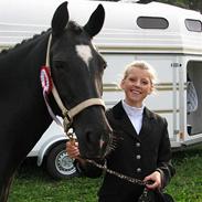 New Forest Zarista SOLGT