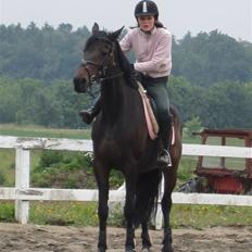 Traver anni caine   Solgt