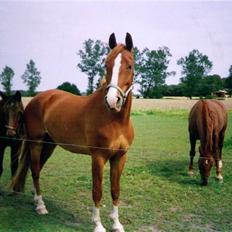Frederiksborg Jupiter 
