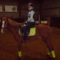 Anden særlig race Destiny *Gammel part*