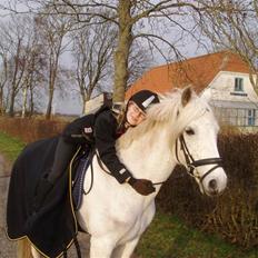 DSP Bæklunls Moloney