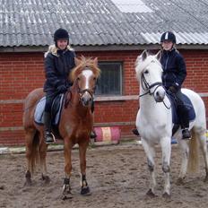 DSP Bæklunls Moloney