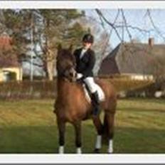 Anden særlig race Léblis