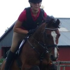 Tysk Sportspony Pauline <3 R.I.P 