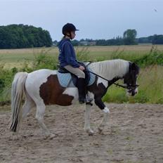 Anden særlig race Pinocchio