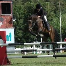 Anden særlig race Oliver