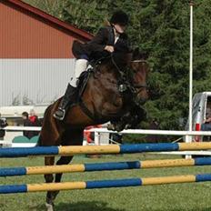 Anden særlig race Oliver