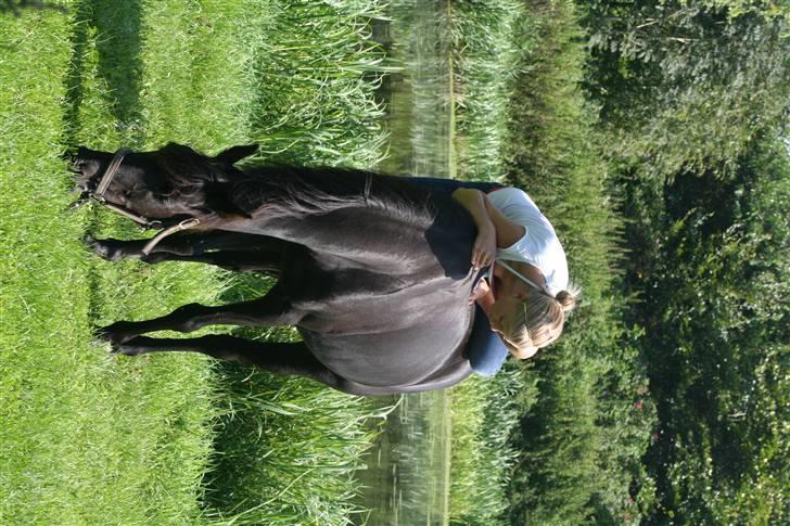 Anden særlig race Sherif - tid til at slappe lidt af..  billede 2