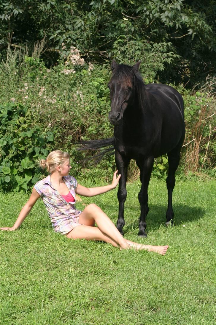 Anden særlig race Sherif - du er så rolig! billede 4