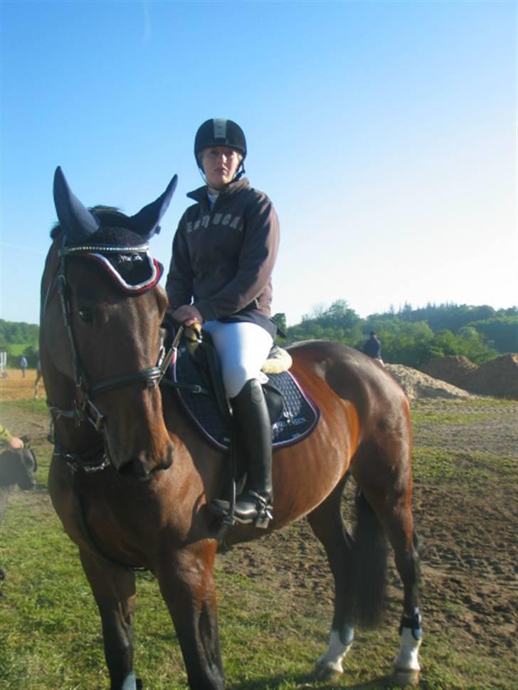 Dansk Varmblod Ofelia - Venter på hun skal igang med at opvarme billede 15