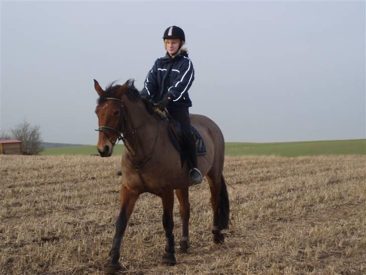 Dansk Varmblod Lillight  *R.I.P* - mig der rider på lillight billede 12