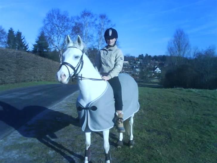 Anden særlig race figaro R.I.P elsker dig - på tur:D taget i vinterferien 08 billede 19