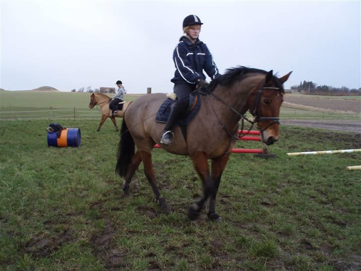 Dansk Varmblod Lillight  *R.I.P* billede 17