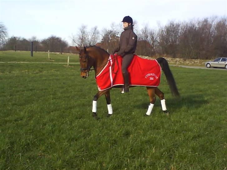 Anden særlig race Cartoons ( solgt) billede 7