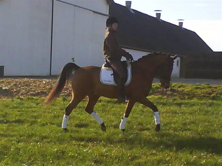 Anden særlig race Cartoons ( solgt) billede 10