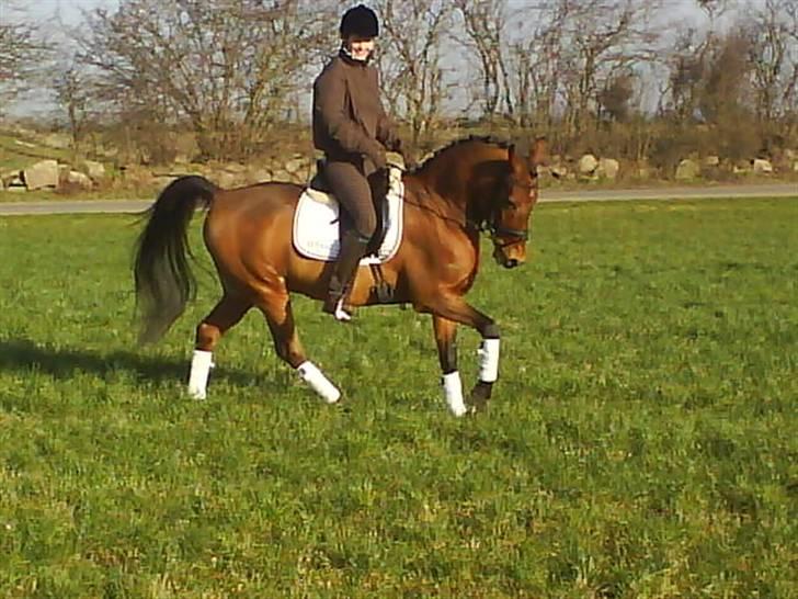 Anden særlig race Cartoons ( solgt) billede 12