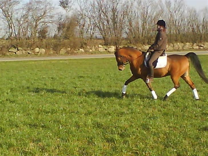 Anden særlig race Cartoons ( solgt) billede 14