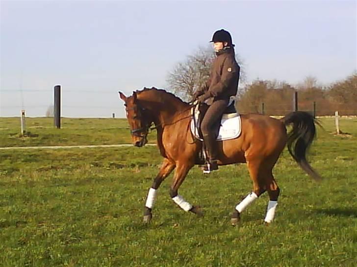 Anden særlig race Cartoons ( solgt) billede 16