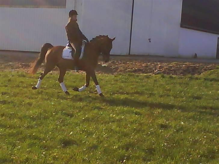 Anden særlig race Cartoons ( solgt) billede 17