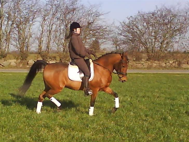 Anden særlig race Cartoons ( solgt) billede 18