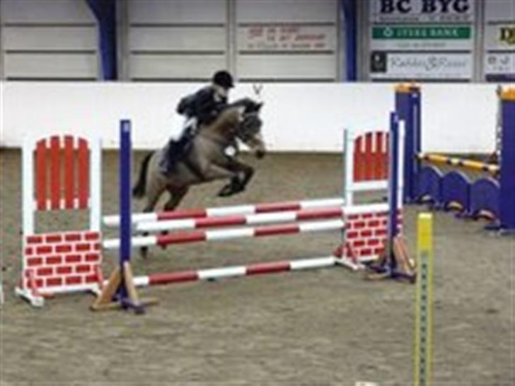 New Forest Otto Solgt. - Første LA fik en 5 plads. :D:D Så stolt! billede 4