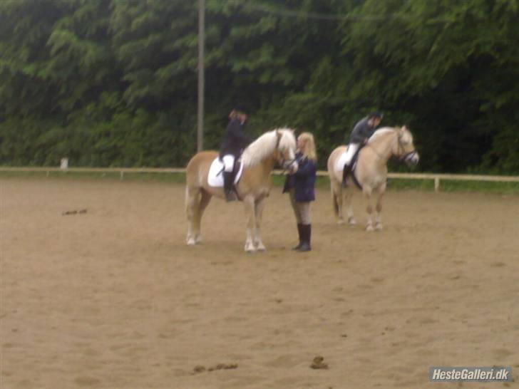 Haflinger Anker Kyhnæb - Simone til præmie overrækkelse, første plads, vandt bagefter en pokal for mest vindende pony!:D billede 15