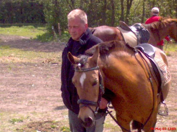 Welsh Pony af Cob-type (sec C) Camilla (éjer ikk mere) - De er min far der trækker med Camilla, til et stævne. foto: mor<3 billede 9