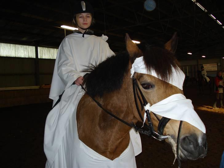 Welsh Pony af Cob-type (sec C) Camilla (éjer ikk mere) - Så er tønden nede, og Camilla har proppet munden med gulerødder og æbler :) foto: mor<3 billede 15